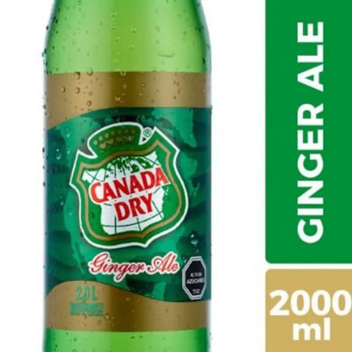 Bebida Ginger Ale Canada Dry 2.0 Lt.