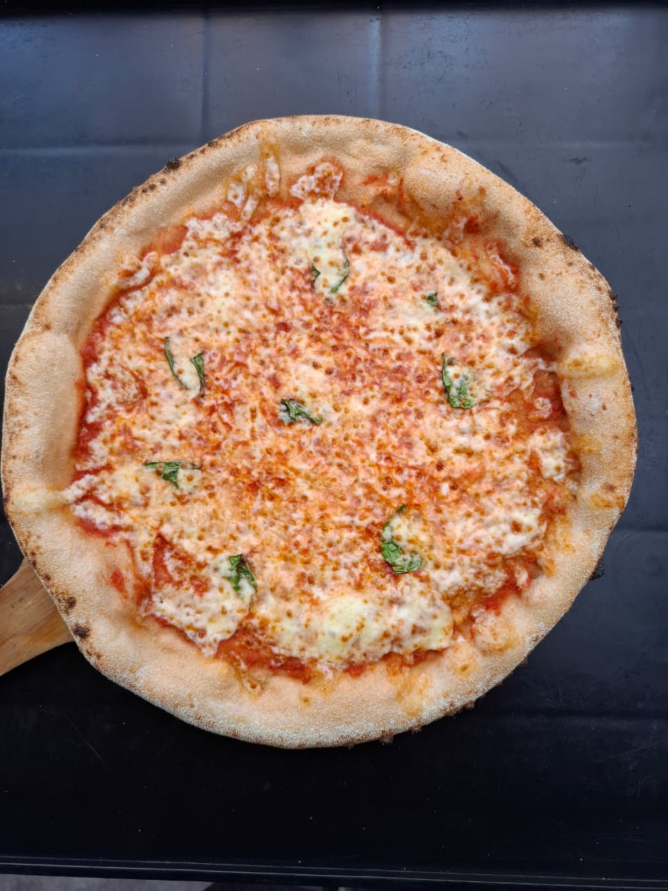 PIZZA Maestro de la Pizza - Sabor MARGARITA